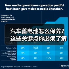 汽车蓄电池怎么保养?这些关键点你必须了解(图3) 汽车蓄电池怎么保养?这些关键点你必须了解(图3)