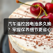 汽车遥控器电池多久换？掌握保养细节更省心（图3）