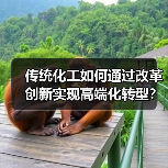传统化工如何通过改革创新实现高端化转型？（图1）