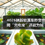 4026辆新能源车秒变电网“充电宝”还能为城市续航?(图1) 4026辆新能源车秒变电网“充电宝”还能为城市续航?(图1)