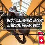 传统化工如何通过改革创新实现高端化转型？（图4）