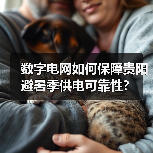 数字电网如何保障贵阳避暑季供电可靠性？（图1）