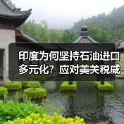 印度为何坚持石油进口多元化？应对美关税威胁策略分析（图2）