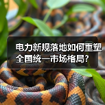 电力新规落地如何重塑全国统一市场格局？（图4）