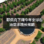 欧佩克下调今年全球石油需求增长预期（图1）