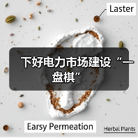 下好电力市场建设“一盘棋”(图2) 下好电力市场建设“一盘棋”(图2)