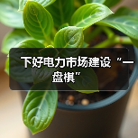 下好电力市场建设“一盘棋”(图1) 下好电力市场建设“一盘棋”(图1)