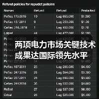 两项电力市场关键技术成果达国际领先水平
