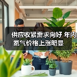 供应收紧需求向好 年内氦气价格上涨明显