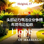 头部动力电池企业争相布局电动船舶(图2) 头部动力电池企业争相布局电动船舶(图2)