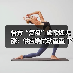各方“复盘”碳酸锂大涨:供应端扰动重重 下游需求旺盛(图3) 各方“复盘”碳酸锂大涨:供应端扰动重重 下游需求旺盛(图3)