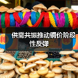 供需共振推动铜价阶段性反弹(图2) 供需共振推动铜价阶段性反弹(图2)