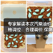 专家解读本次汽柴油价格调控：合理调价 保障稳定供应（图3）
