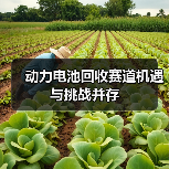 动力电池回收赛道机遇与挑战并存