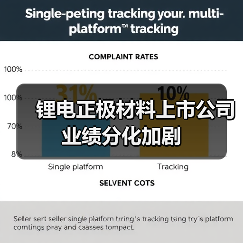 锂电正极材料上市公司业绩分化加剧(图2) 锂电正极材料上市公司业绩分化加剧(图2)