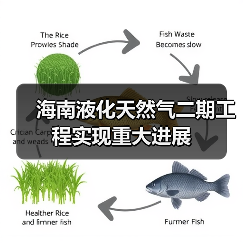 海南液化天然气二期工程实现重大进展（图4）