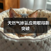 天然气掺氢应用取得新突破(图2) 天然气掺氢应用取得新突破(图2)