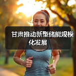 甘肃推动新型储能规模化发展
