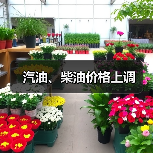 汽油、柴油价格上调(图2) 汽油、柴油价格上调(图2)
