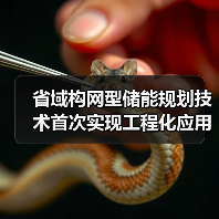 省域构网型储能规划技术首次实现工程化应用(图1) 省域构网型储能规划技术首次实现工程化应用(图1)