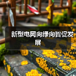 新型电网向绿向智促发展(图1) 新型电网向绿向智促发展(图1)