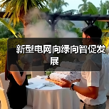 新型电网向绿向智促发展(图4) 新型电网向绿向智促发展(图4)