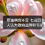 原油供应不足 七成日本人认为政府应呼吁节能（图2）