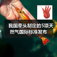 我国牵头制定的5项天然气国际标准发布(图3) 我国牵头制定的5项天然气国际标准发布(图3)