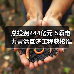 总投资244亿元 5项电力灵活互济工程获核准(图1) 总投资244亿元 5项电力灵活互济工程获核准(图1)