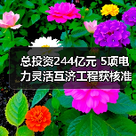 总投资244亿元 5项电力灵活互济工程获核准