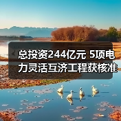 总投资244亿元 5项电力灵活互济工程获核准