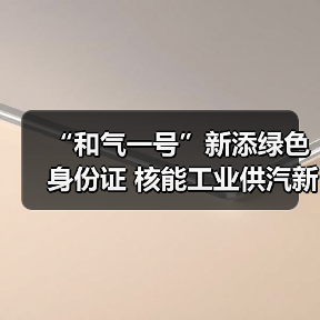 “和气一号”新添绿色身份证 核能工业供汽新成果发布(图1) “和气一号”新添绿色身份证 核能工业供汽新成果发布(图1)