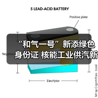 “和气一号”新添绿色身份证 核能工业供汽新成果发布(图4) “和气一号”新添绿色身份证 核能工业供汽新成果发布(图4)