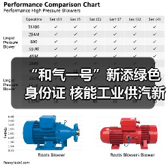 “和气一号”新添绿色身份证 核能工业供汽新成果发布