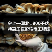 金上—湖北±800千伏特高压直流输电工程建成投运(图4) 金上—湖北±800千伏特高压直流输电工程建成投运(图4)
