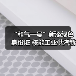 “和气一号”新添绿色身份证 核能工业供汽新成果发布