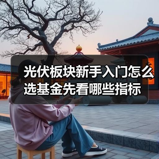 光伏板块新手入门怎么选基金先看哪些指标